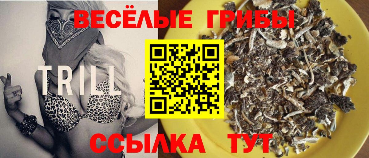Галлюциногенные грибы Psilocybine cubensis  Вход с VPN  Новосибирск 